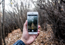 Getting Back to the Basics of Pure Education