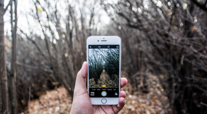 5 Advices for Throwing the Perfect Bachelor Party